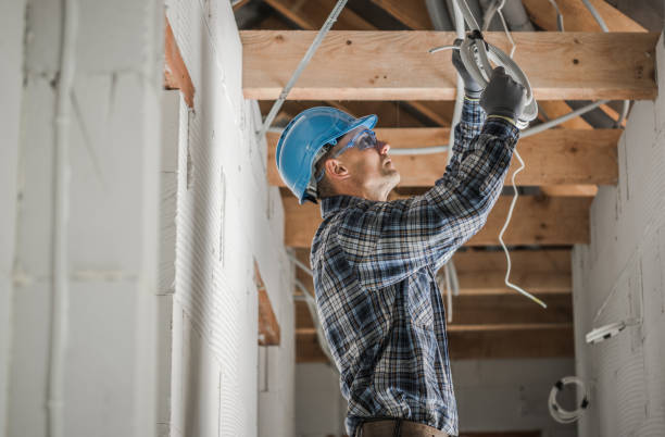 Best Residential Electrician Services  in Maple Lake, MN
