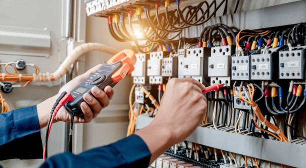 Best Electric Panel Repair  in Maple Lake, MN