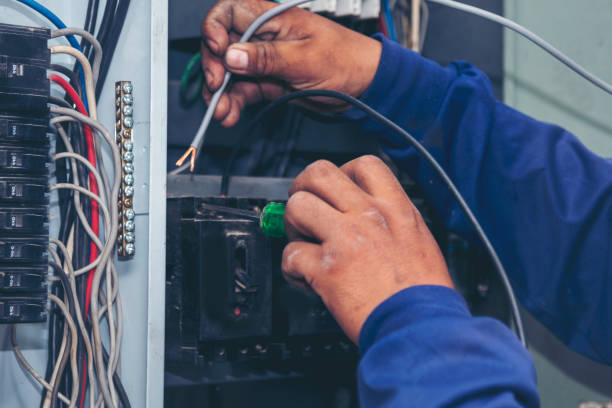 Best Electrical Contractors for Businesses  in Maple Lake, MN
