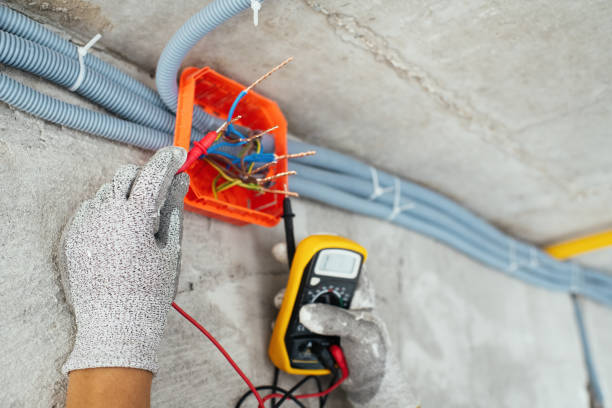 Best Local Electrician Companies  in Maple Lake, MN