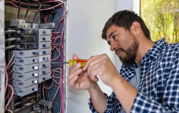 Best Electrician for Home Renovation  in Maple Lake, MN